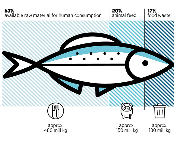 Fish illustration utilization of the fish