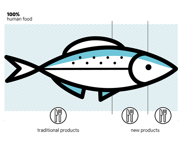 Fish illustration c food norway