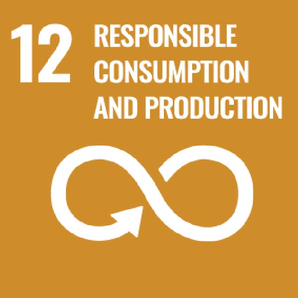 Sustainable Development Goals 10 Reduces Inequalities